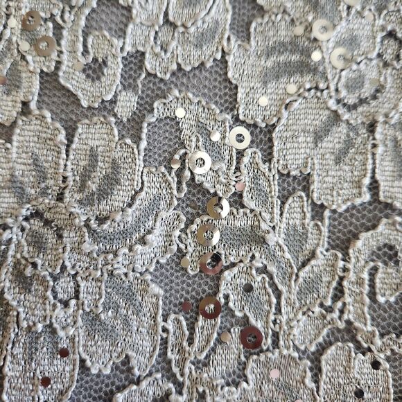 R & M Richards Silver Sequin Lace Stretch Midi Cocktail Wedding Guest Dress SZ14 - Picture 5 of 16